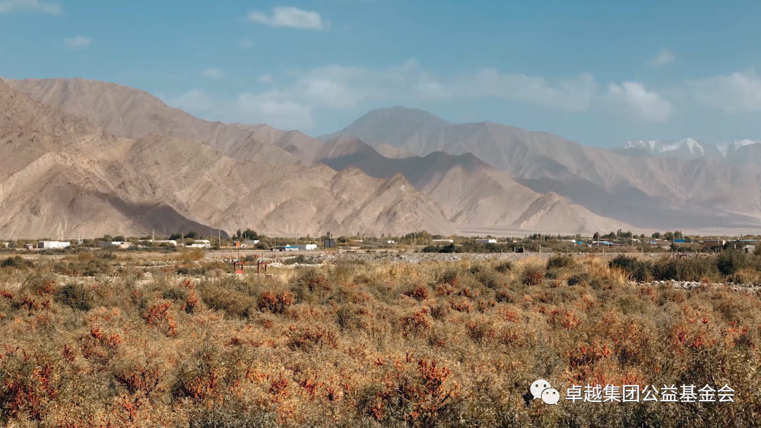 1659339411820310.png 7.png