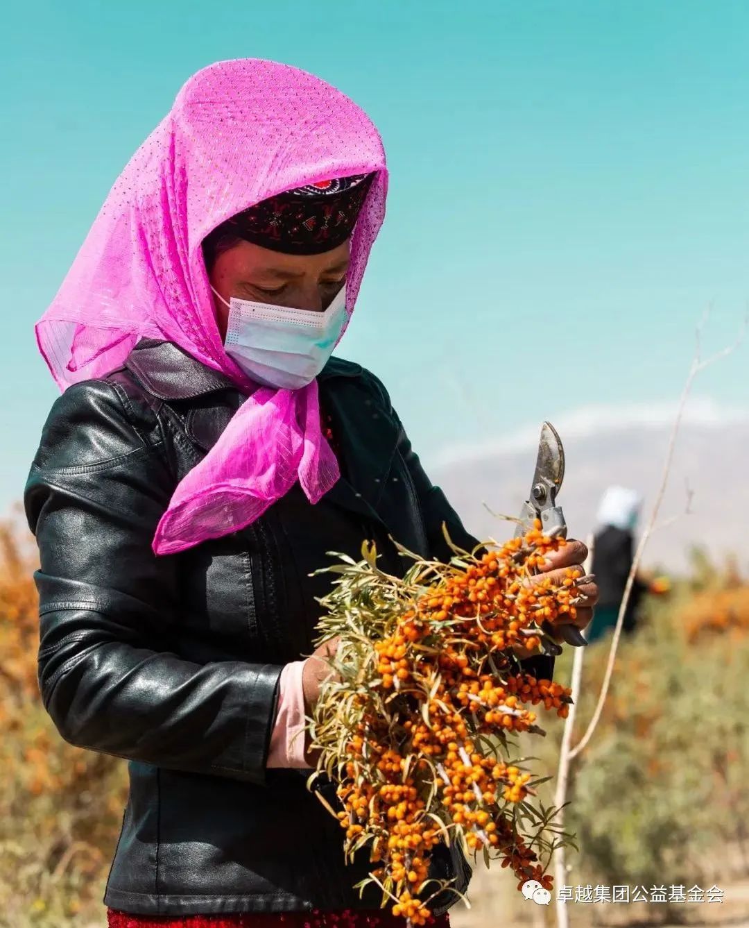 1659339453962145.jpg 9.jpg