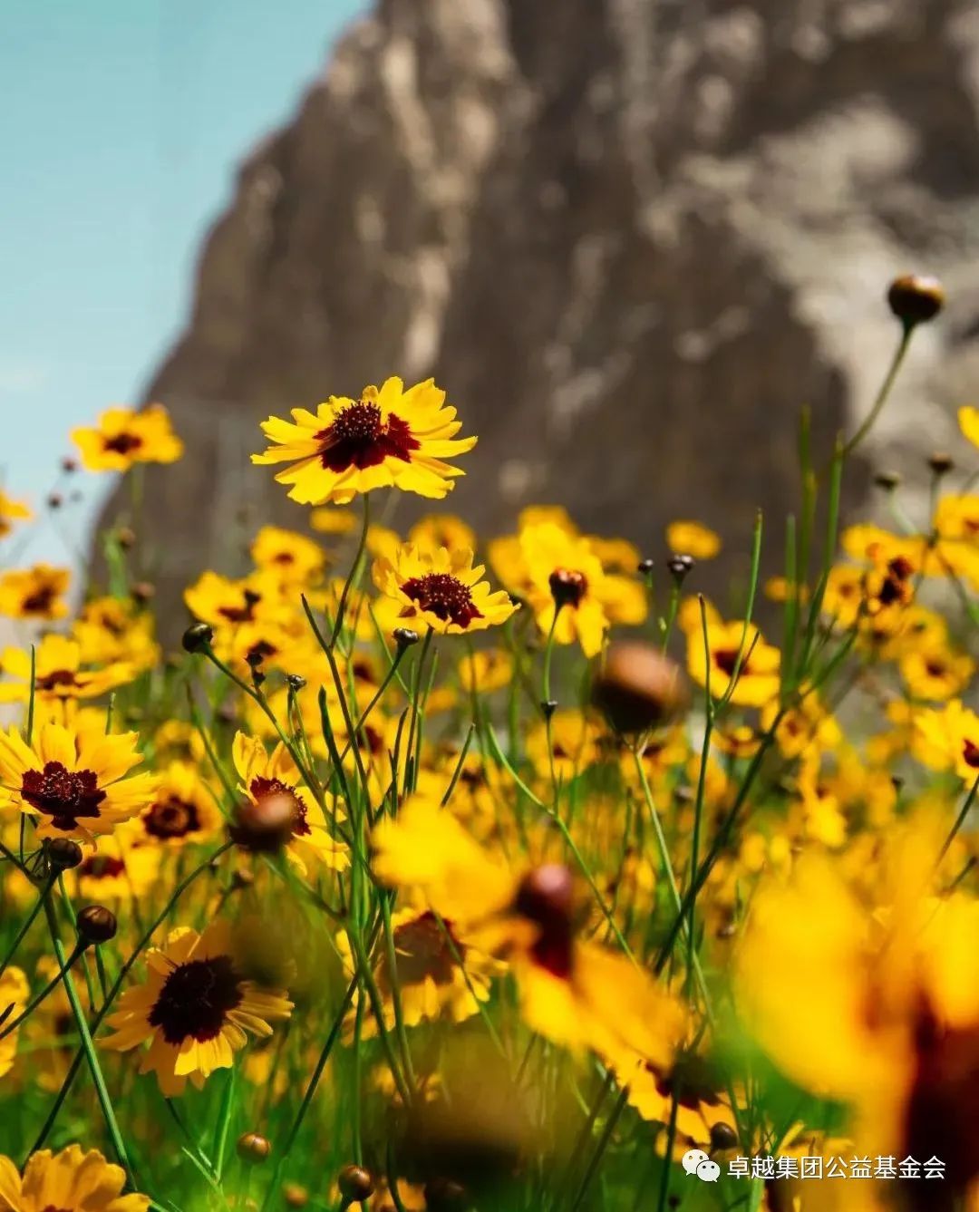 1659339505873660.jpg 11.jpg