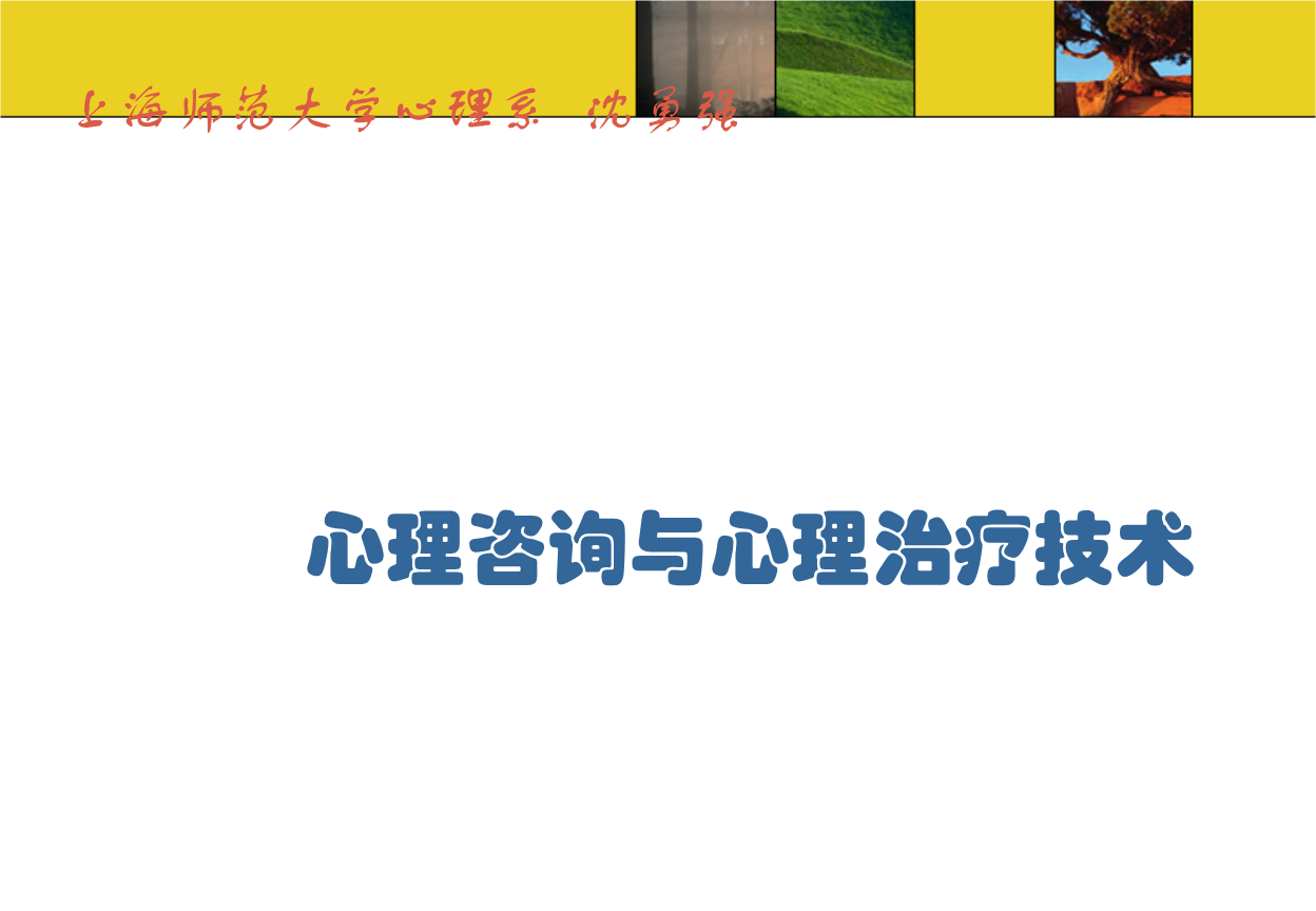心理咨詢與心理治療技術上海師范大學心理系.ppt